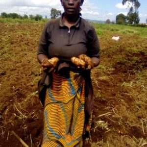 WOMEN IN CSA WOMEN IN CSA