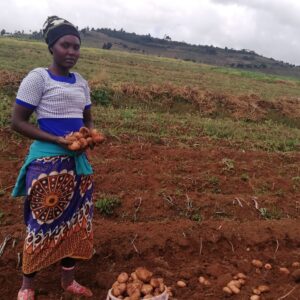 Youth in Agriculture 2 Youth in Agriculture 2