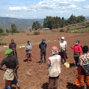 group training on demonstration farm set up group training on demonstration farm set up